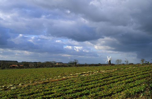 windmillday