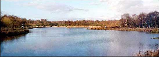 Black Lake