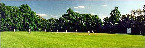 Wilmslow - Cricket